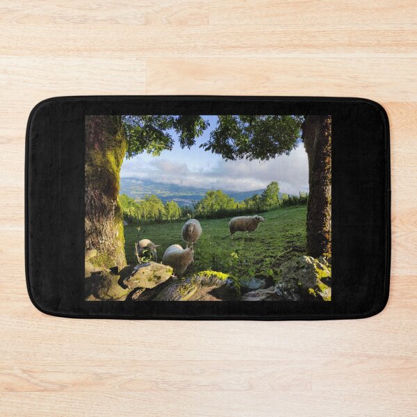 Item preview, Four sheep on a pasture in the mountains of Galicia - Landscape designed and sold by tomekp14.