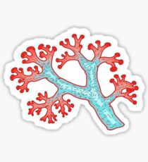 coral dream Sticker