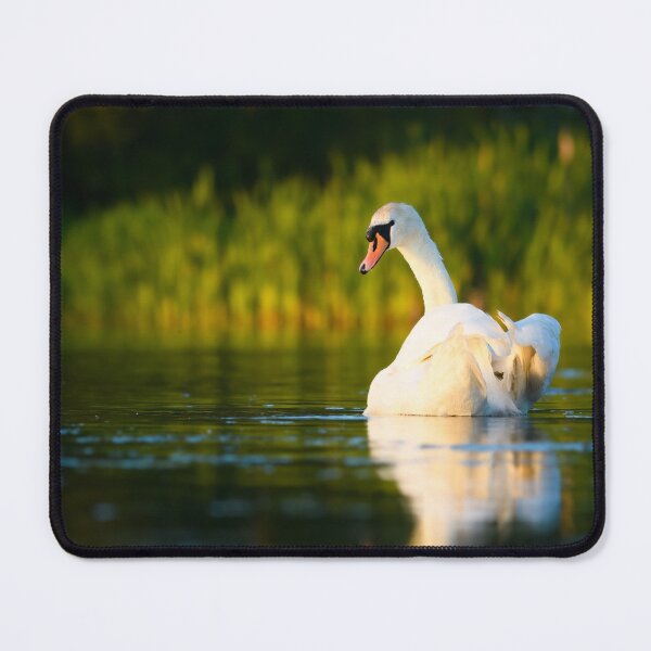 Item preview, Mute Swan designed and sold by Ryan Ten.