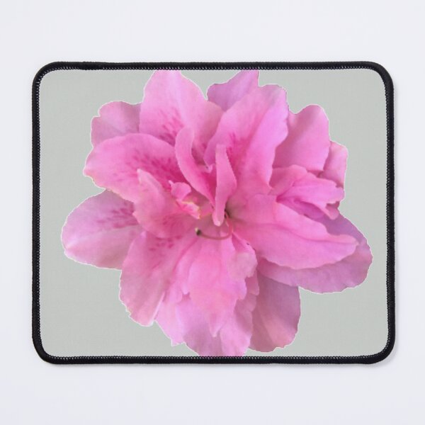 Item preview, Pink Azalea Close-up on Soft Sage Green Background designed and sold by InalterataArt.
