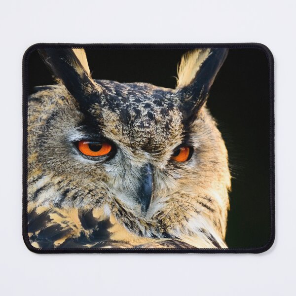 Item preview, Eurasian Eagle Owl designed and sold by Ryan Ten.