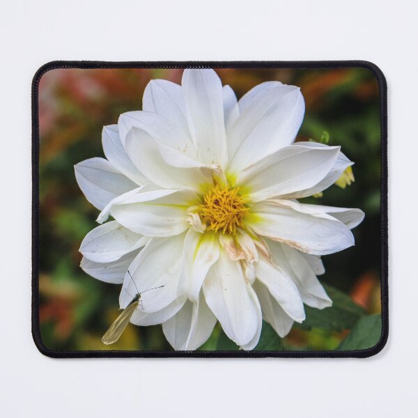 Item preview, Flower designed and sold by jamsantos.