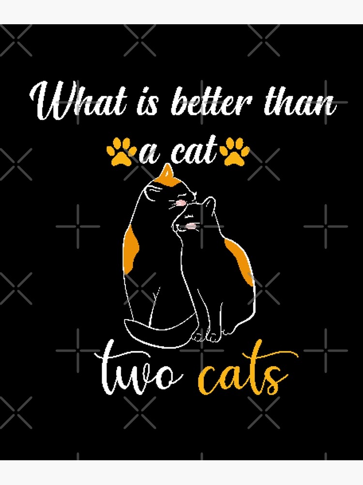 "what is better than a cat? two cats" Poster for Sale by
