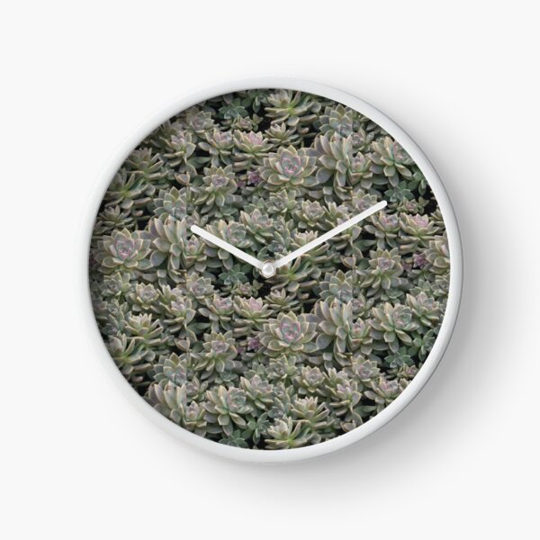 Satisfied Succulent Clock