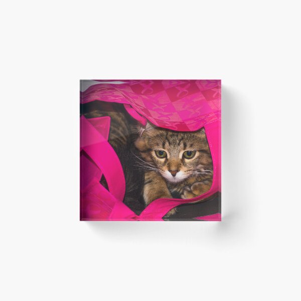 Item preview, Wookiee Supports Breast Cancer Awareness designed and sold by Bill Spengler's Photographic Thoughts.