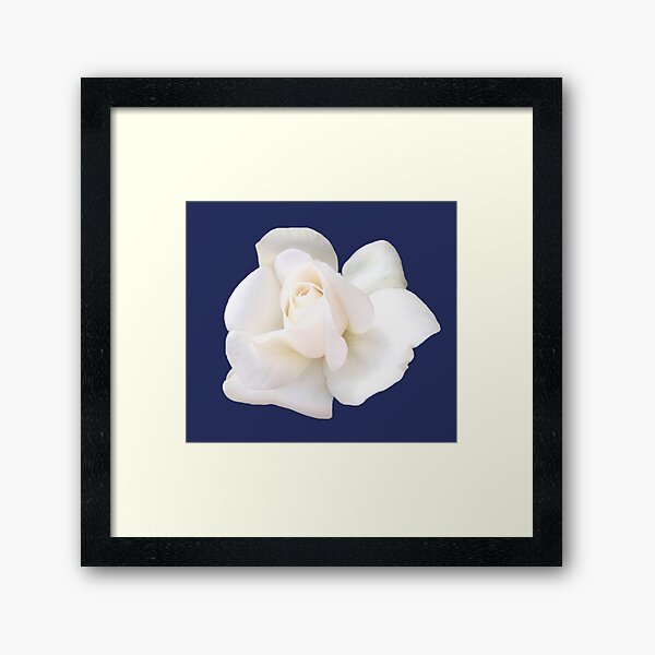 Item preview, White Sugar Moon Rose Close-up on Elegant Navy  designed and sold by InalterataArt.