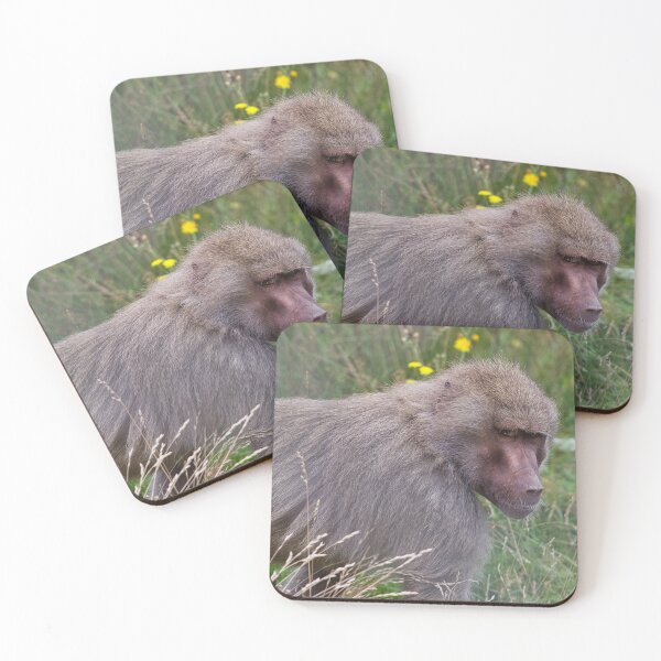 Item preview, Annoyed monkey designed and sold by matschesphoto.
