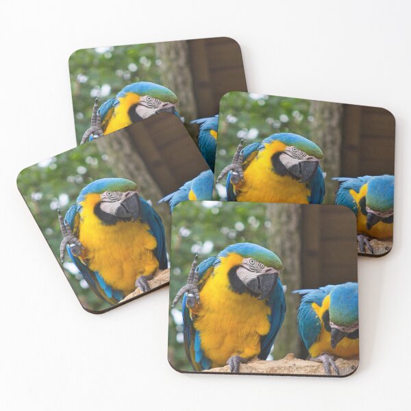 Item preview, Cool parrot designed and sold by matschesphoto.
