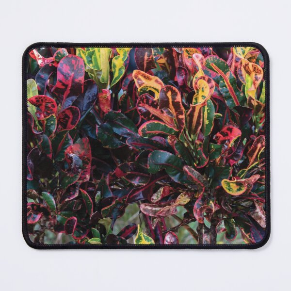 Item preview, Croton background designed and sold by flamendes.