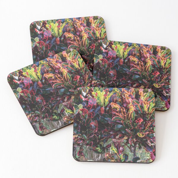 Item preview, Croton background designed and sold by flamendes.