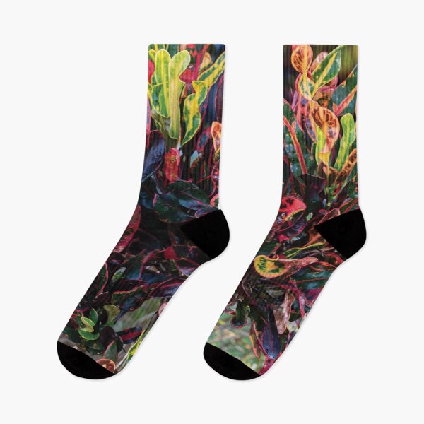 Item preview, Croton background designed and sold by flamendes.