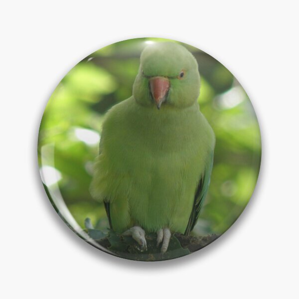 Item preview, Pretty Parakeet in a Tree designed and sold by naturegallery.