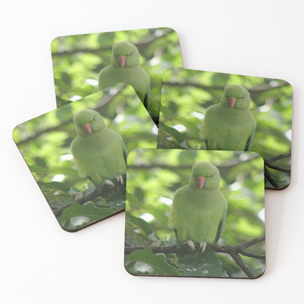 Item preview, Pretty Parakeet in a Tree designed and sold by naturegallery.