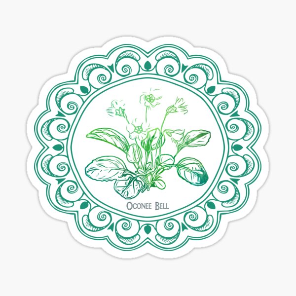 Vista previa del artículo con la obra «Flor silvestre de Oconee Bell», diseñado y vendido por Calico Forest.