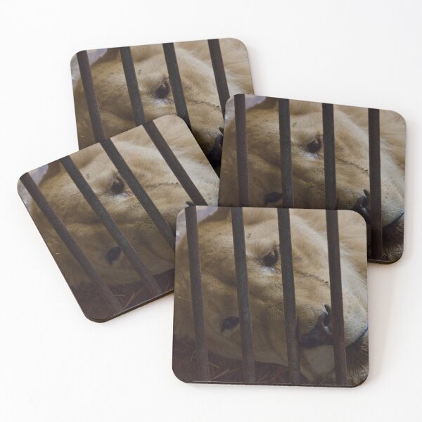 Item preview, Sad Zoo Lion designed and sold by matschesphoto.