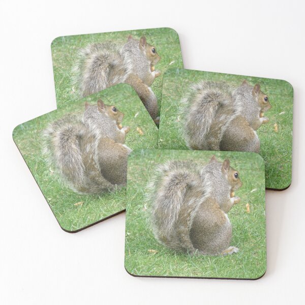 Item preview, Hungry Grey Squirrel Shows its Tail Photograph designed and sold by naturegallery.