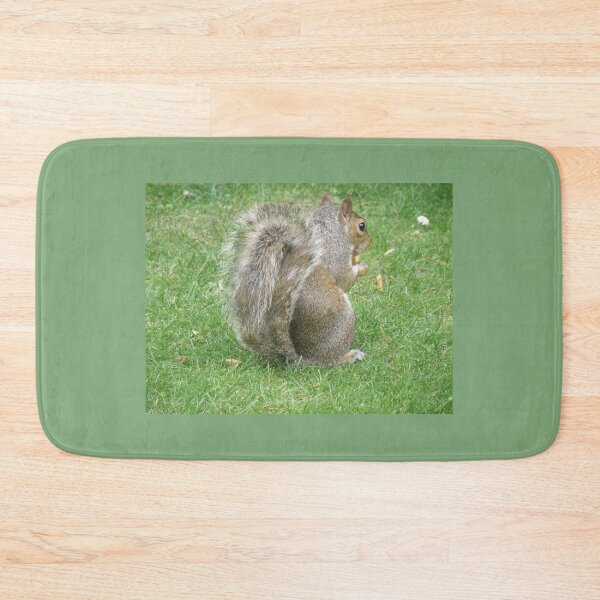 Item preview, Hungry Grey Squirrel Shows its Tail Photograph designed and sold by naturegallery.