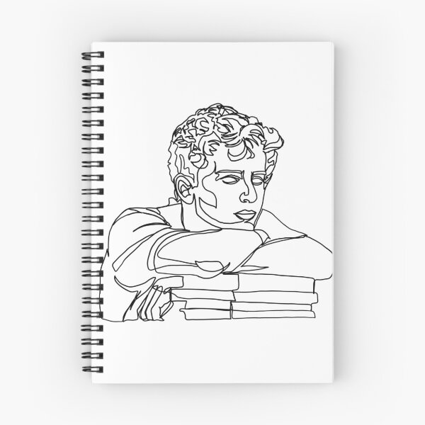 Item preview, Timothee Chalamet CMBYN Portrait designed and sold by titorella.