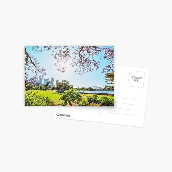 Jacaranda in Sydney Botanic Garden Postcard