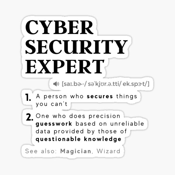 Cyber Security Expert Definition Funny Computer Hacking Professional Sticker