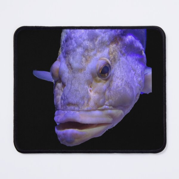 Item preview, Inner Fish designed and sold by Dead-Moroz.