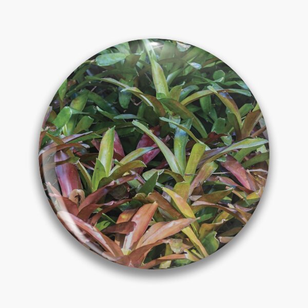 Item preview, Bromeliad background designed and sold by flamendes.