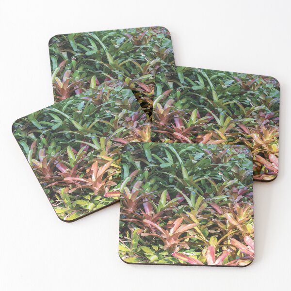 Item preview, Bromeliad background designed and sold by flamendes.