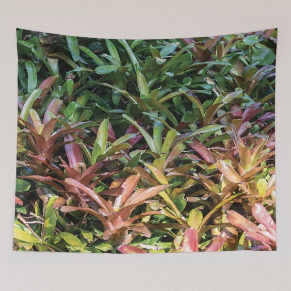 Item preview, Bromeliad background designed and sold by flamendes.