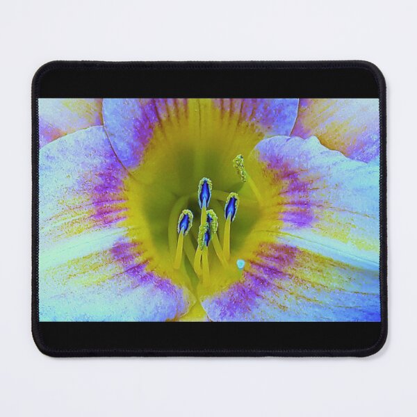 Item preview, Bloomed in Rainbow designed and sold by craftsbydaphy.