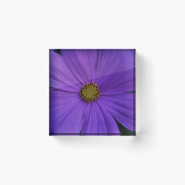Item preview, Beautiful Purple Flower.  designed and sold by Bumpulous.