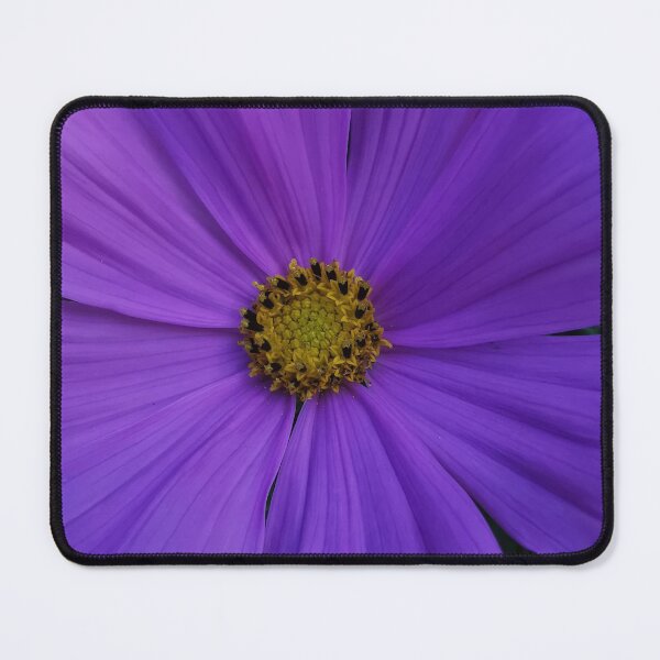 Item preview, Beautiful Purple Flower.  designed and sold by Bumpulous.