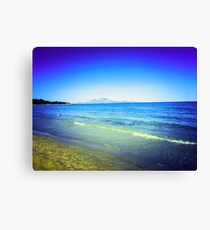 C'est La Vie Canvas Print
