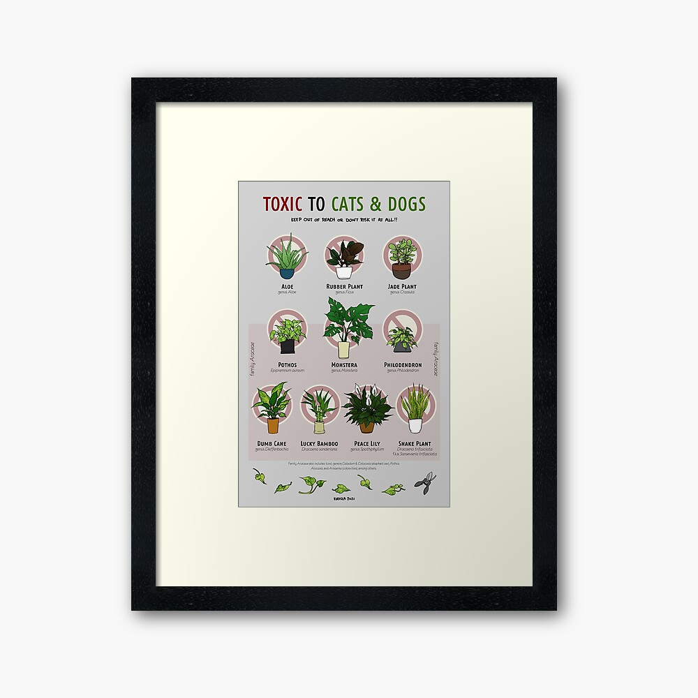 Plants Toxic to Cats & Dogs | Greeting Card