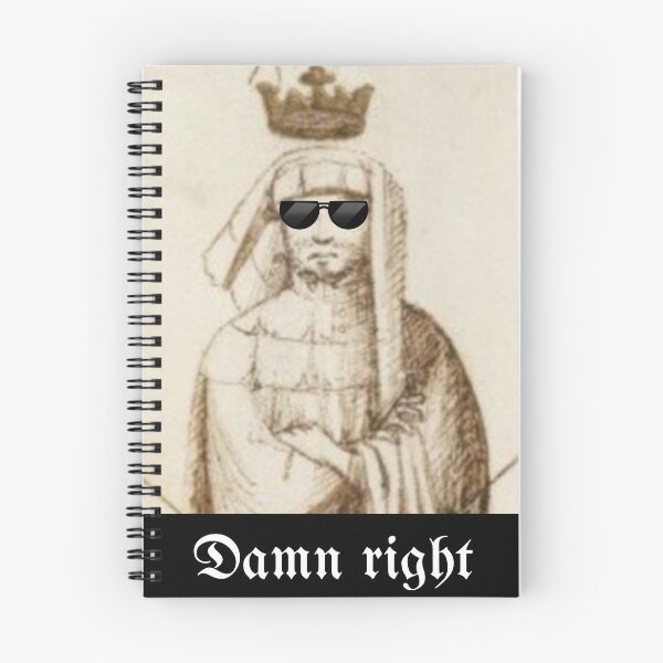 Item preview, Fiore de'i Liberi Damn Right- HEMA fencing  designed and sold by MemesOfHistory.
