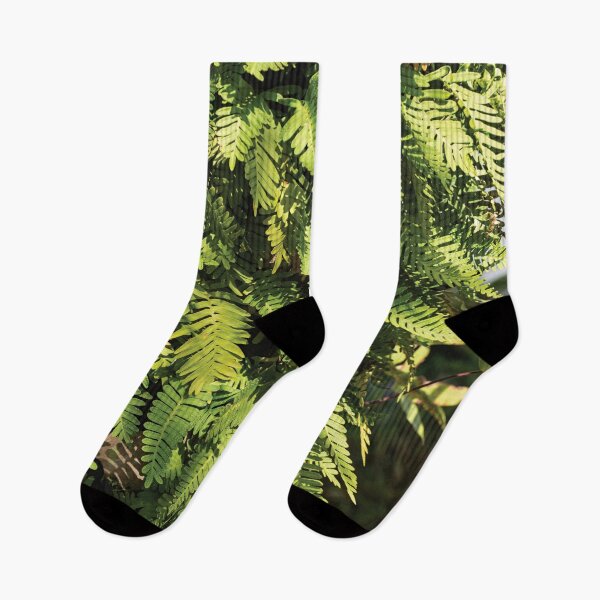 Item preview, Fern designed and sold by flamendes.