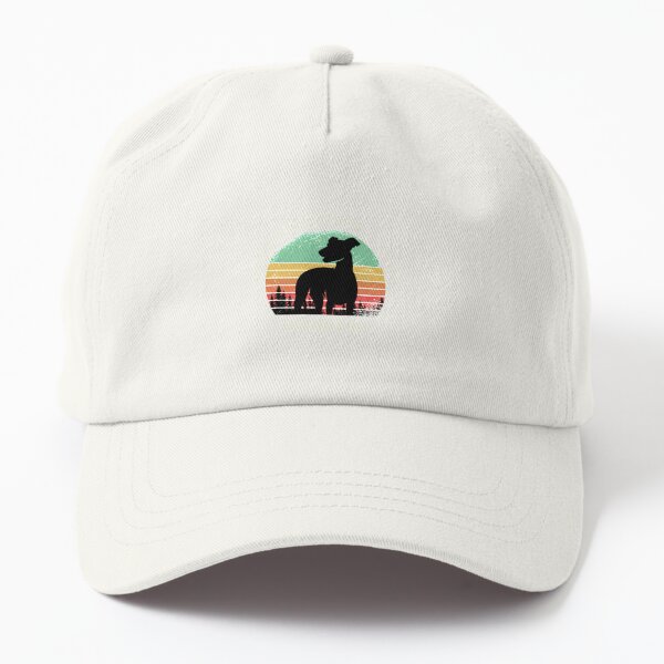 Athetic foodball club Dad Hat