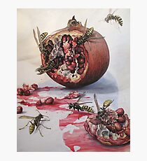 Pomegranate and Paper Wasps Photographic Print