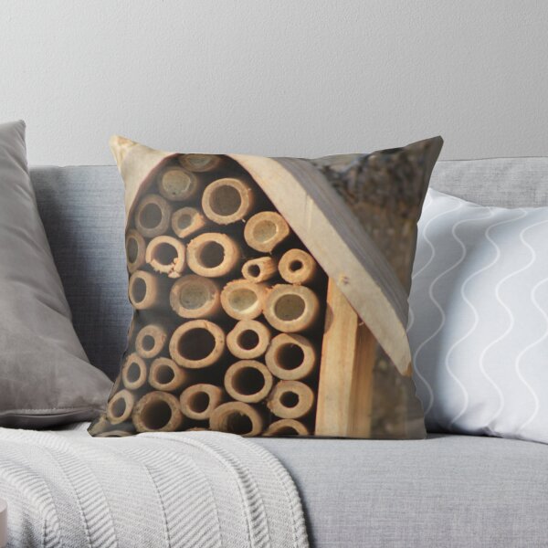 Bee 2025 house pillows