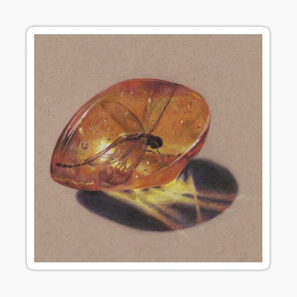 Dragonfly in Amber Sticker