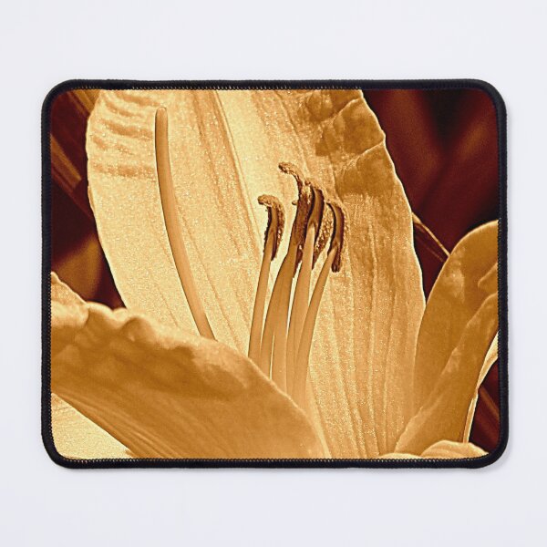 Item preview, Once A Day designed and sold by Jean Gregory Evans.
