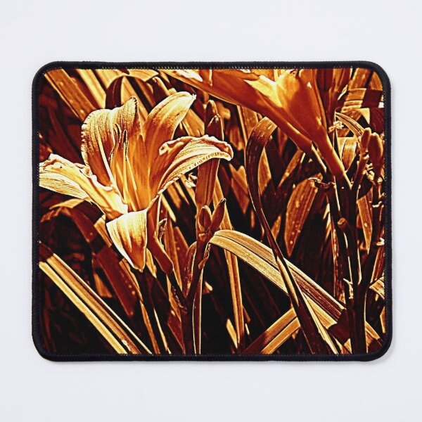 Item preview, Established designed and sold by Jean Gregory Evans.