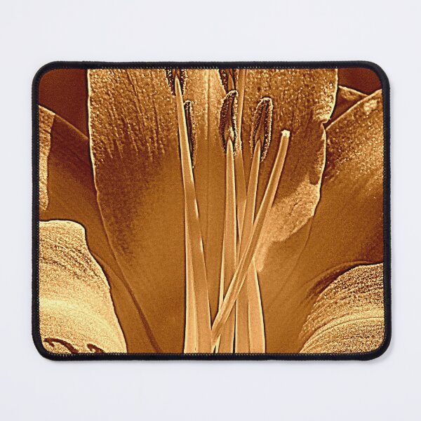 Item preview, Fashionable designed and sold by Jean Gregory Evans.