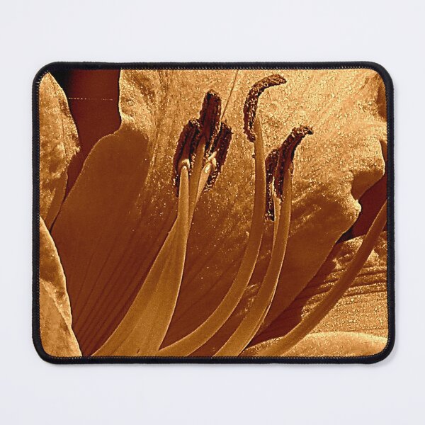 Item preview, Daily designed and sold by Jean Gregory Evans.