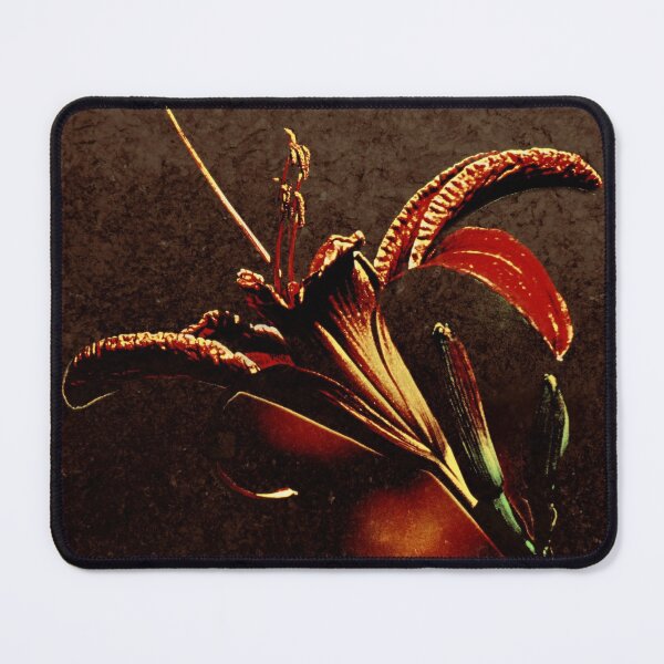 Item preview, Imaginary Incantation designed and sold by Jean Gregory Evans.