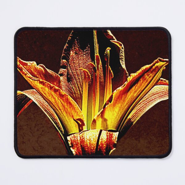 Item preview, Wondrous Hocuspocus designed and sold by Jean Gregory Evans.