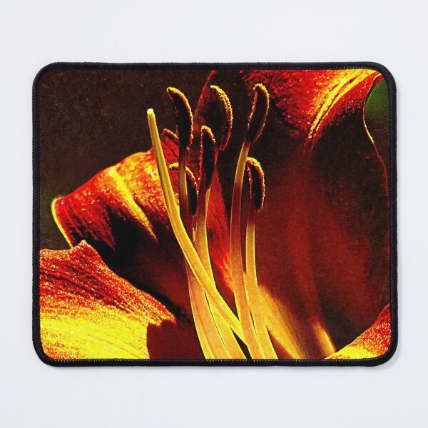 Item preview, Instant Enchantment designed and sold by Jean Gregory Evans.