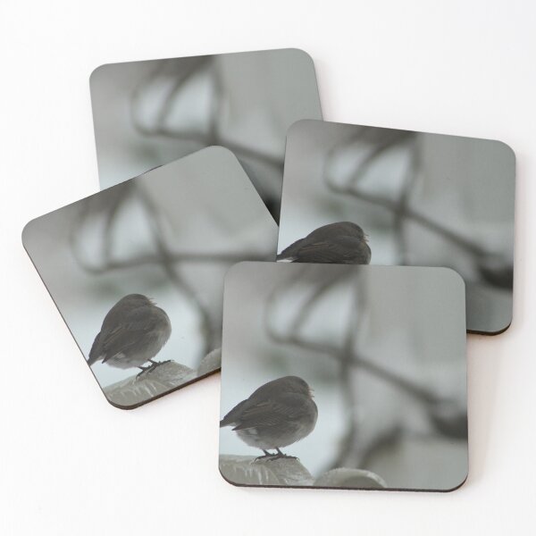 Item preview, Dark-Eyed Junco Spectates the World! designed and sold by Hazel Hall.