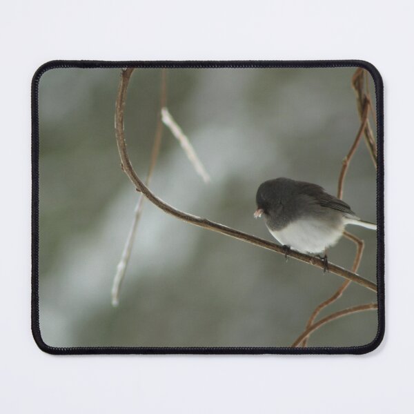 Item preview, Beautiful Junco on Branch designed and sold by Hazel Hall.