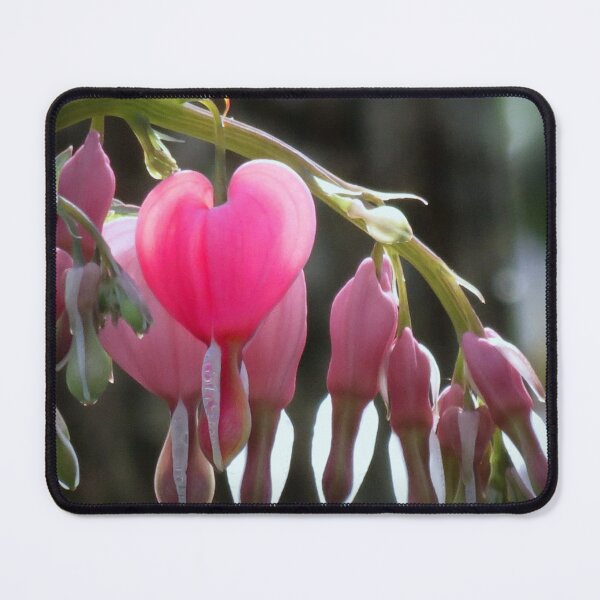 Item preview, Bleeding Hearts designed and sold by Jean Gregory Evans.