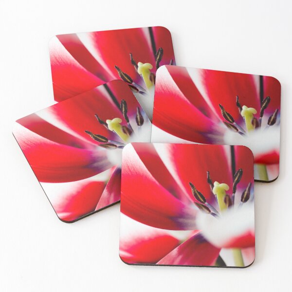 Item preview, Tulip  designed and sold by Kenziewenze.